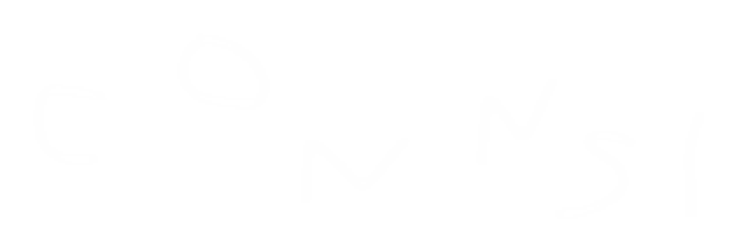 connsi.com